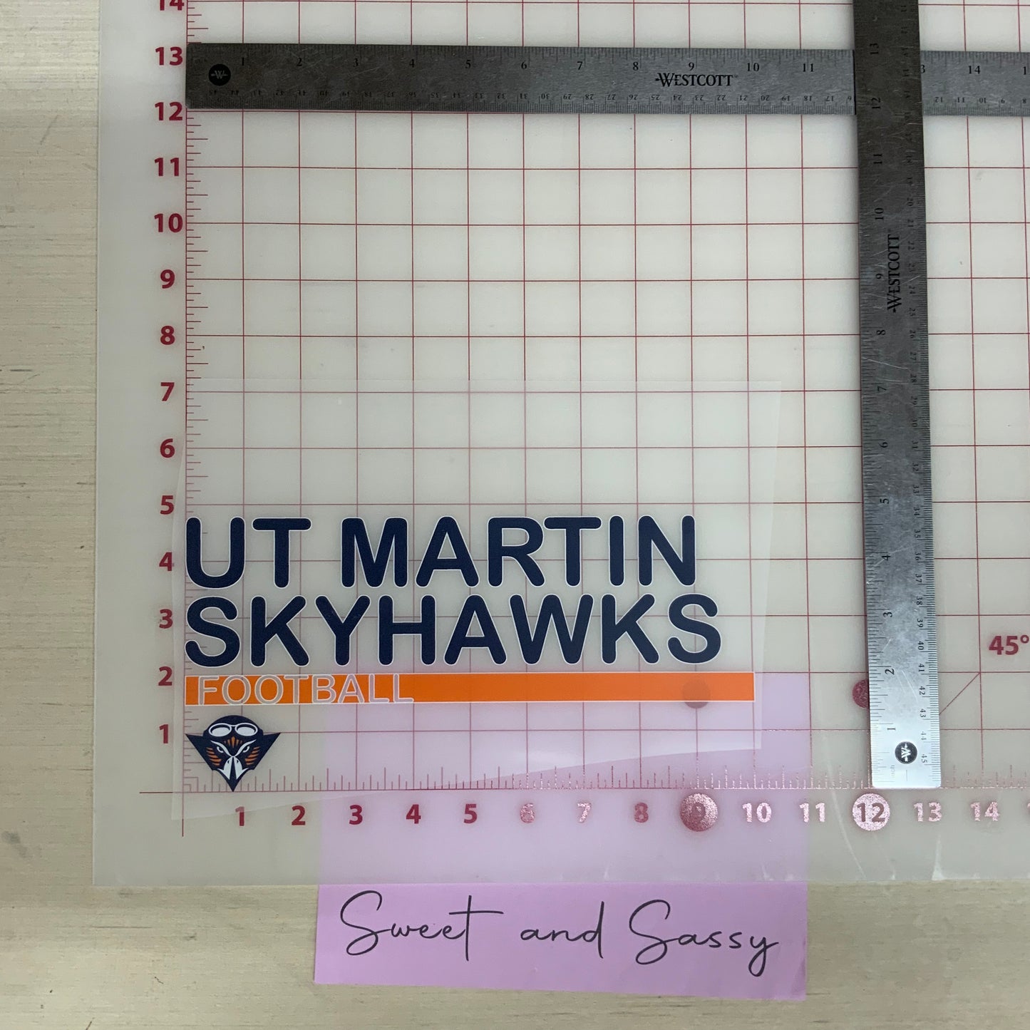 Skyhawks Football DTF Transfer