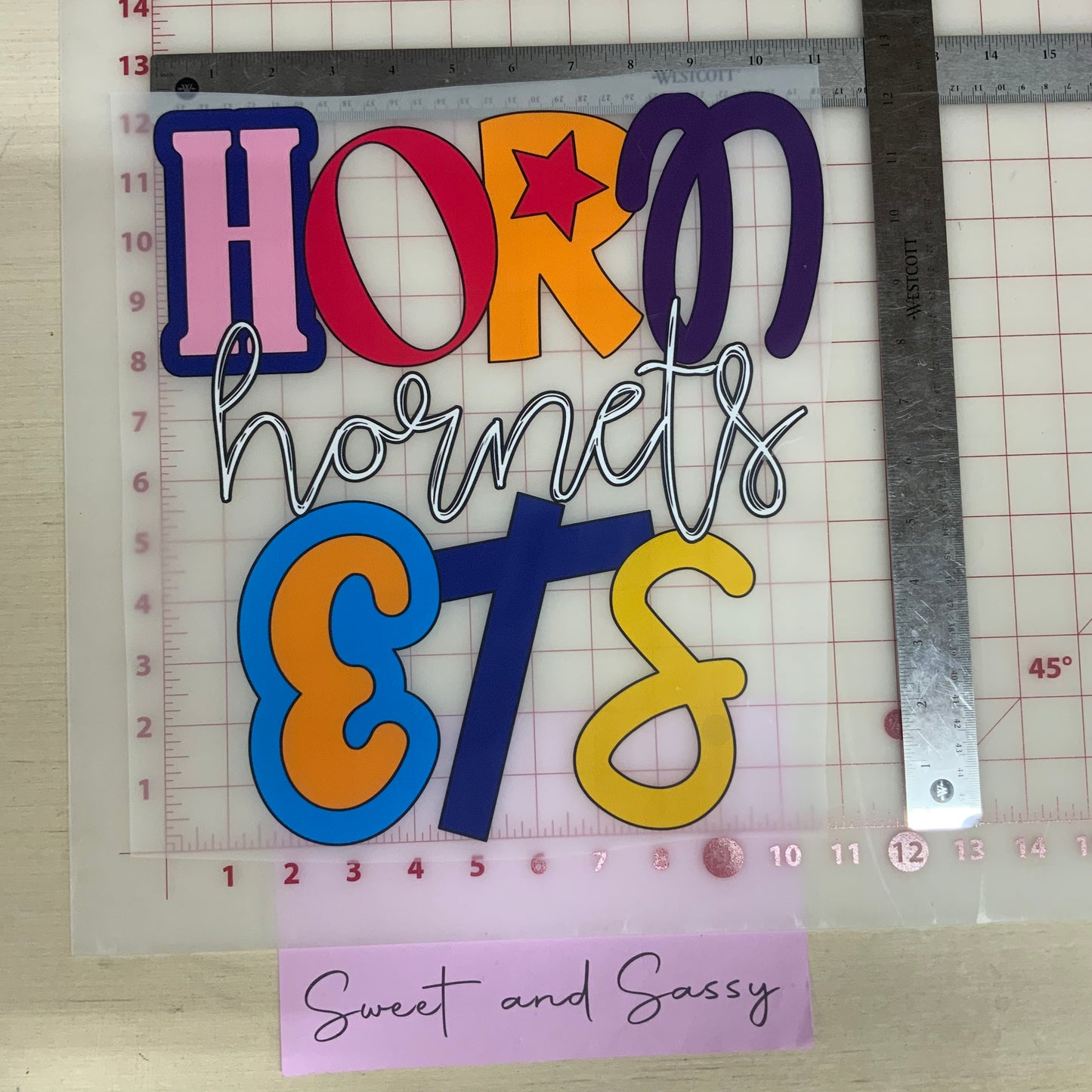 Hornets Soul and Grace DTF Transfer