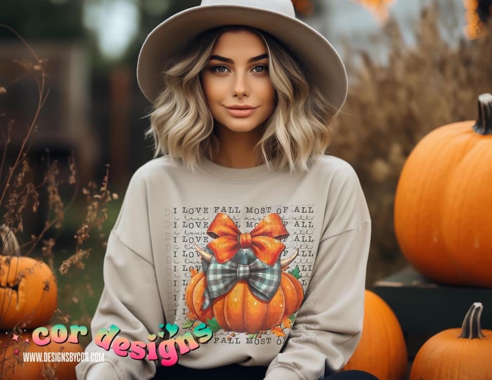 Plaid Ribbon Pumpkin DTF Transfer Design