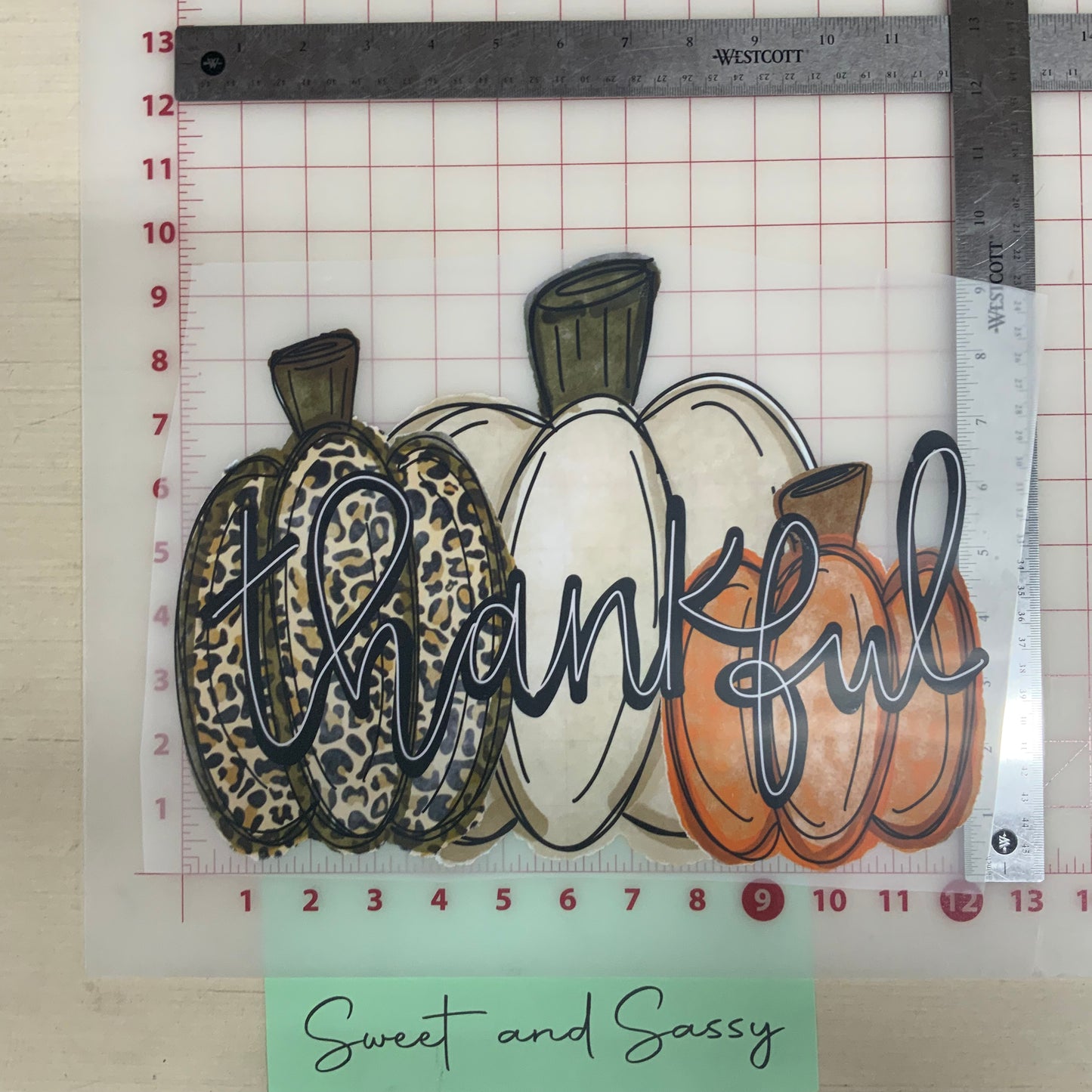 Thankful Pumpkins DTF Transfer Design