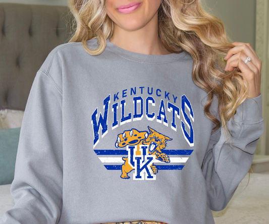 KENTUCKY WILDCATS blue DTF Transfer