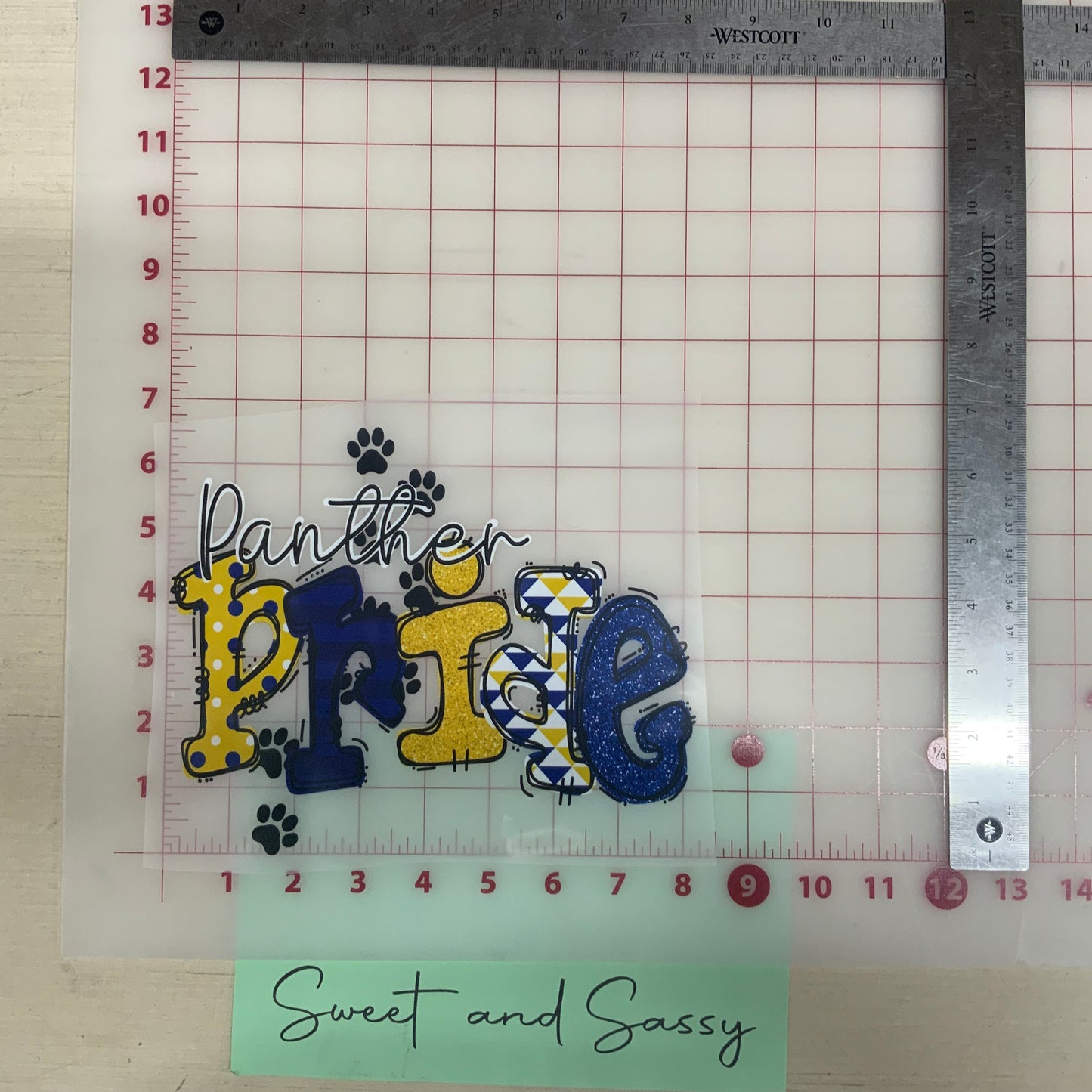 Panther Pride DTF Transfer