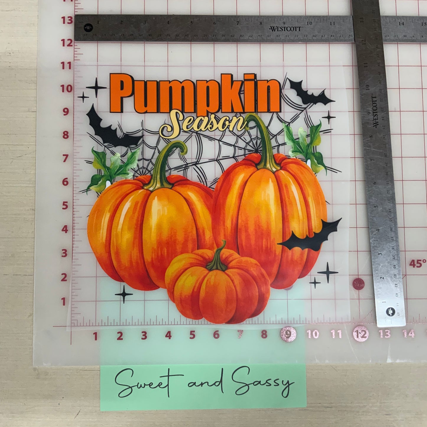 Pumpkin season DTF Transfer Design