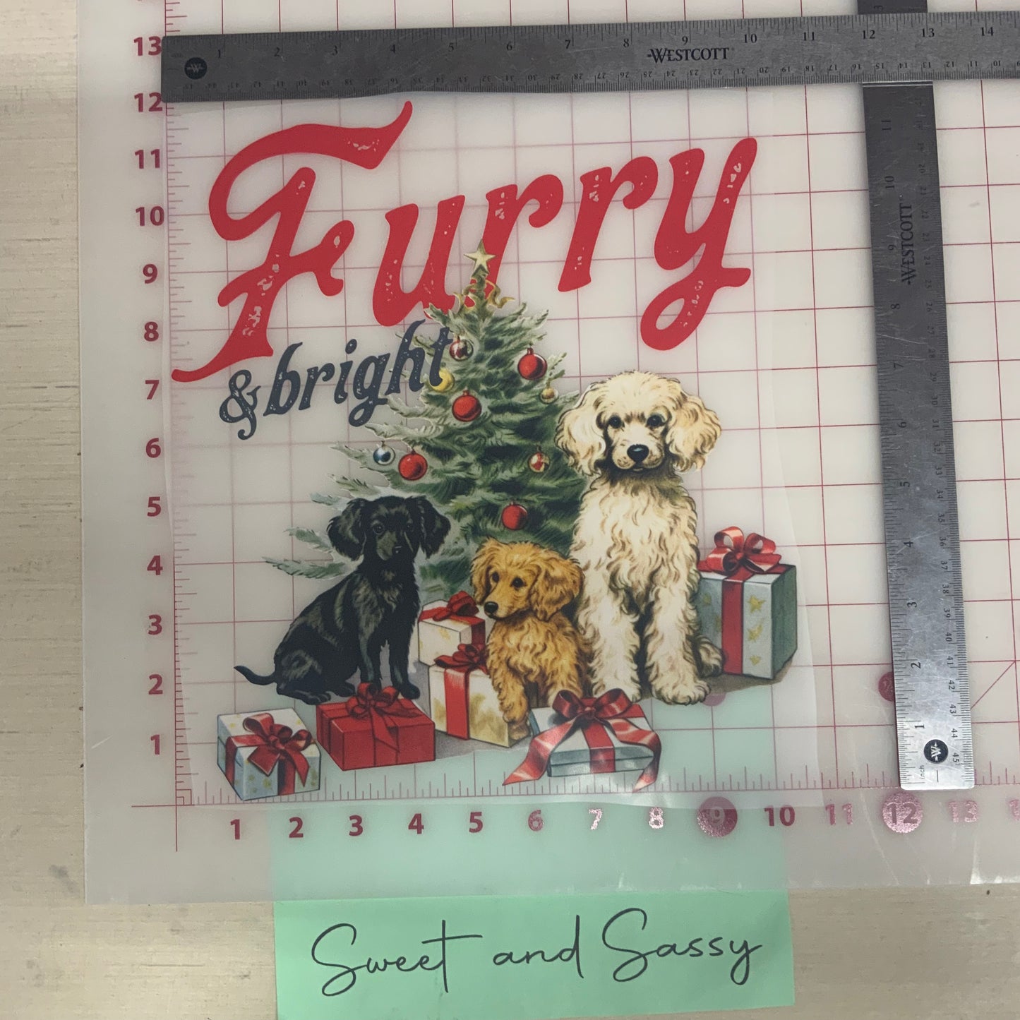 Furry and Bright DTF Transfer Design