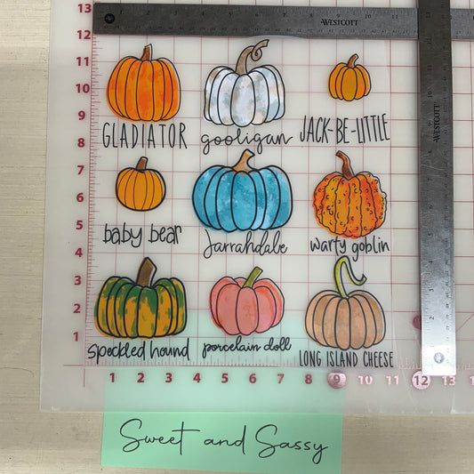 Pumpkin Variety DTF Transfer Design