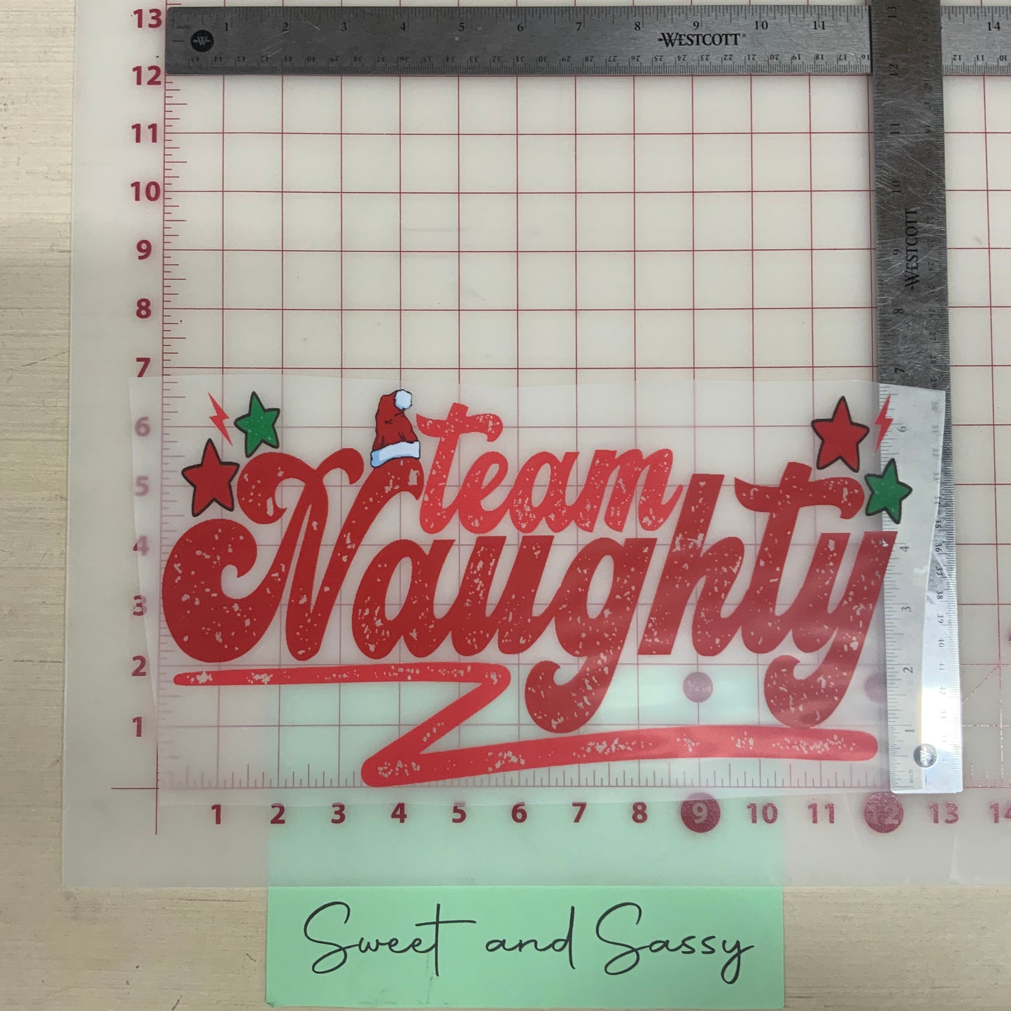 Team Naughty DTF Transfer Design