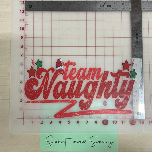 Team Naughty DTF Transfer Design