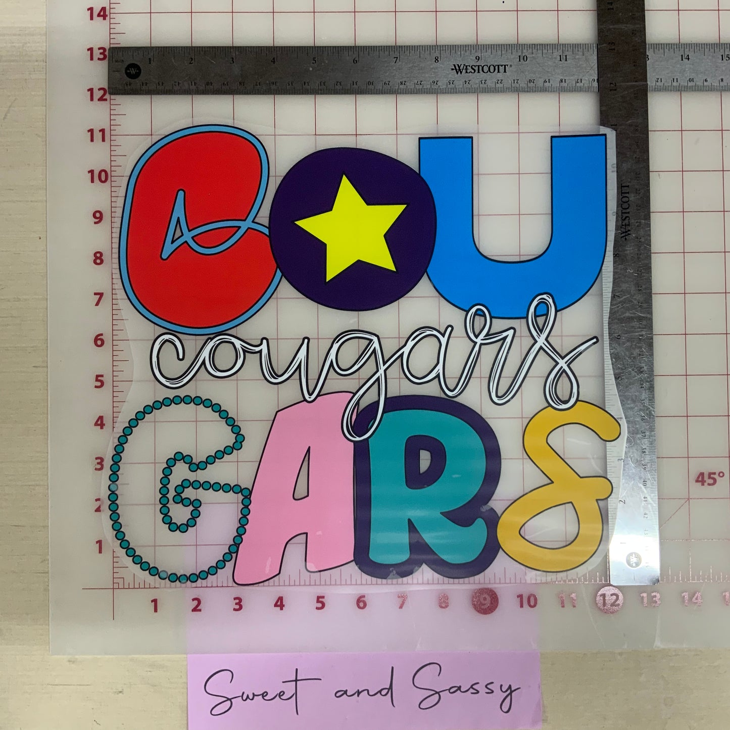 Cougars Soul and Grace DTF Transfer