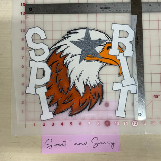 Starry Eyed Eagle Spirit DTF Transfer Bev