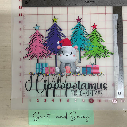 I want a Hippopotamus for Christmas DTF Direct To Film 📠🎞 Transfer Design