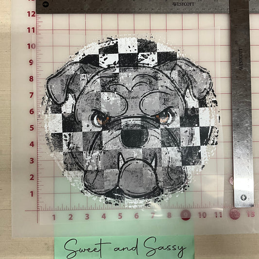 CHECKERED DISTRESSED BULLDOGS DTF Transfer Design