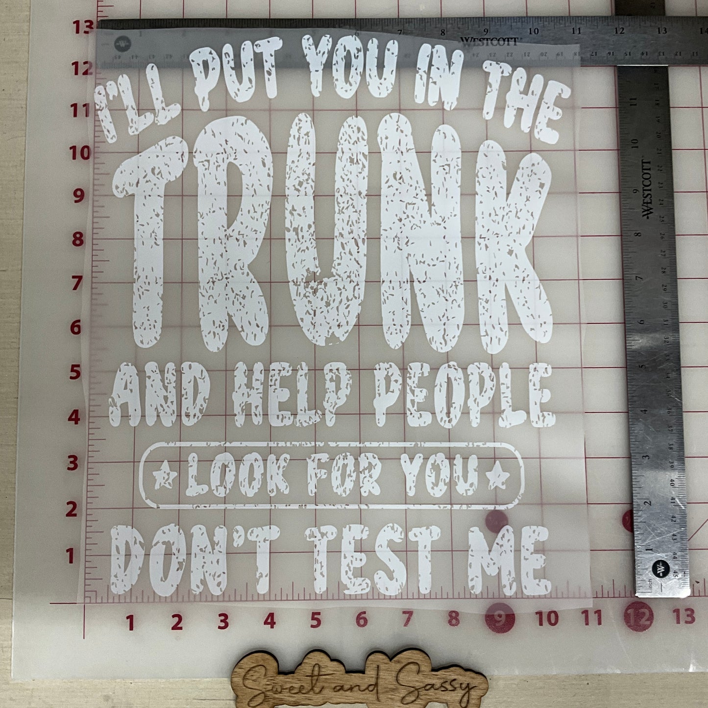 I'll Put you in the Trunk and Help People Look for You DTF Transfer Design