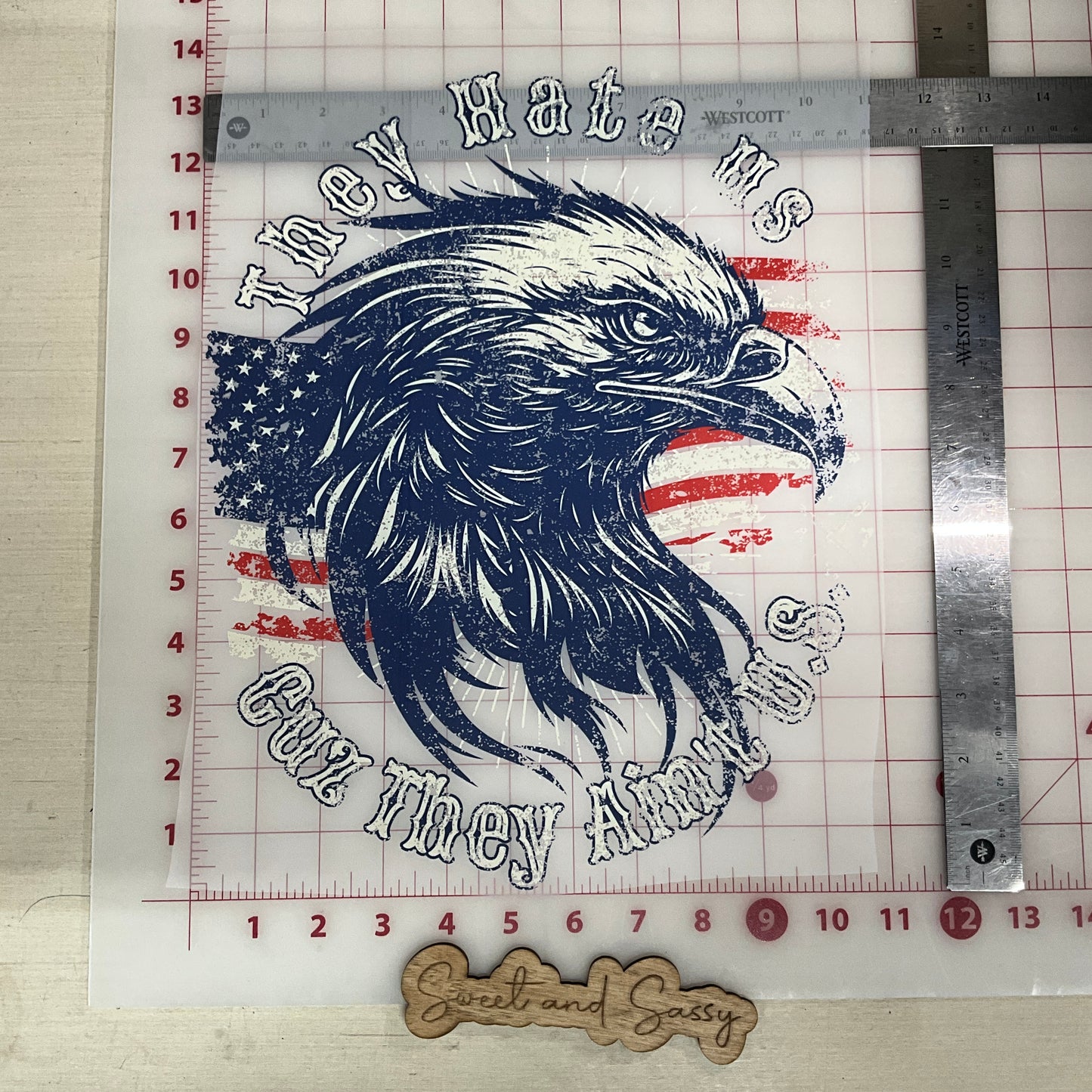 They hate us cuz they ain't us eagle DTF Transfer Design