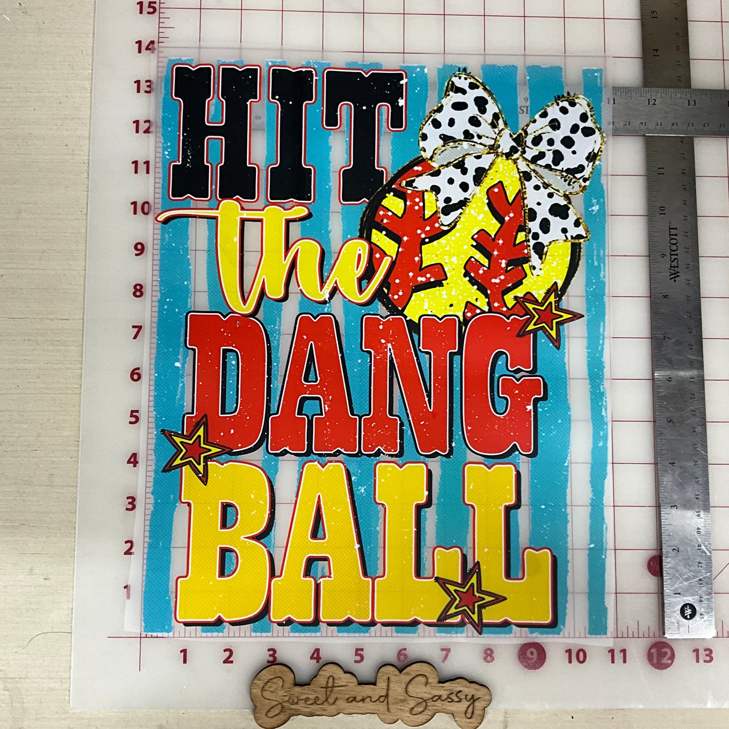 HIT THE DANG BALL softball DTF Transfer Design