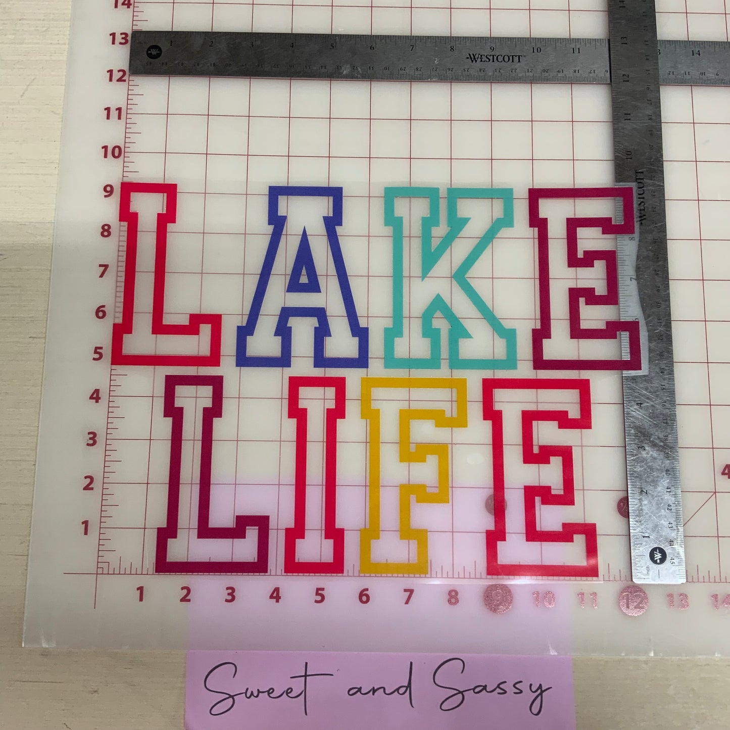 LAKE LIFE Direct To Film 📠🎞 Transfer