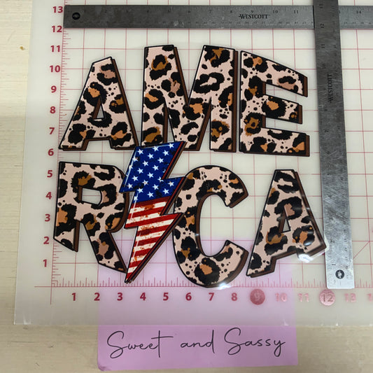 CHEETAH AMERICA STACKED DTF Transfer Design