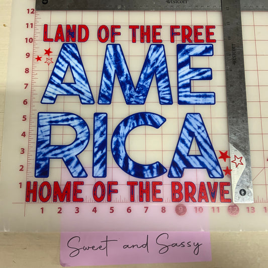 LAND OF THE FREE HOME OF THE BRAVE AMERICA DTF Transfer Design