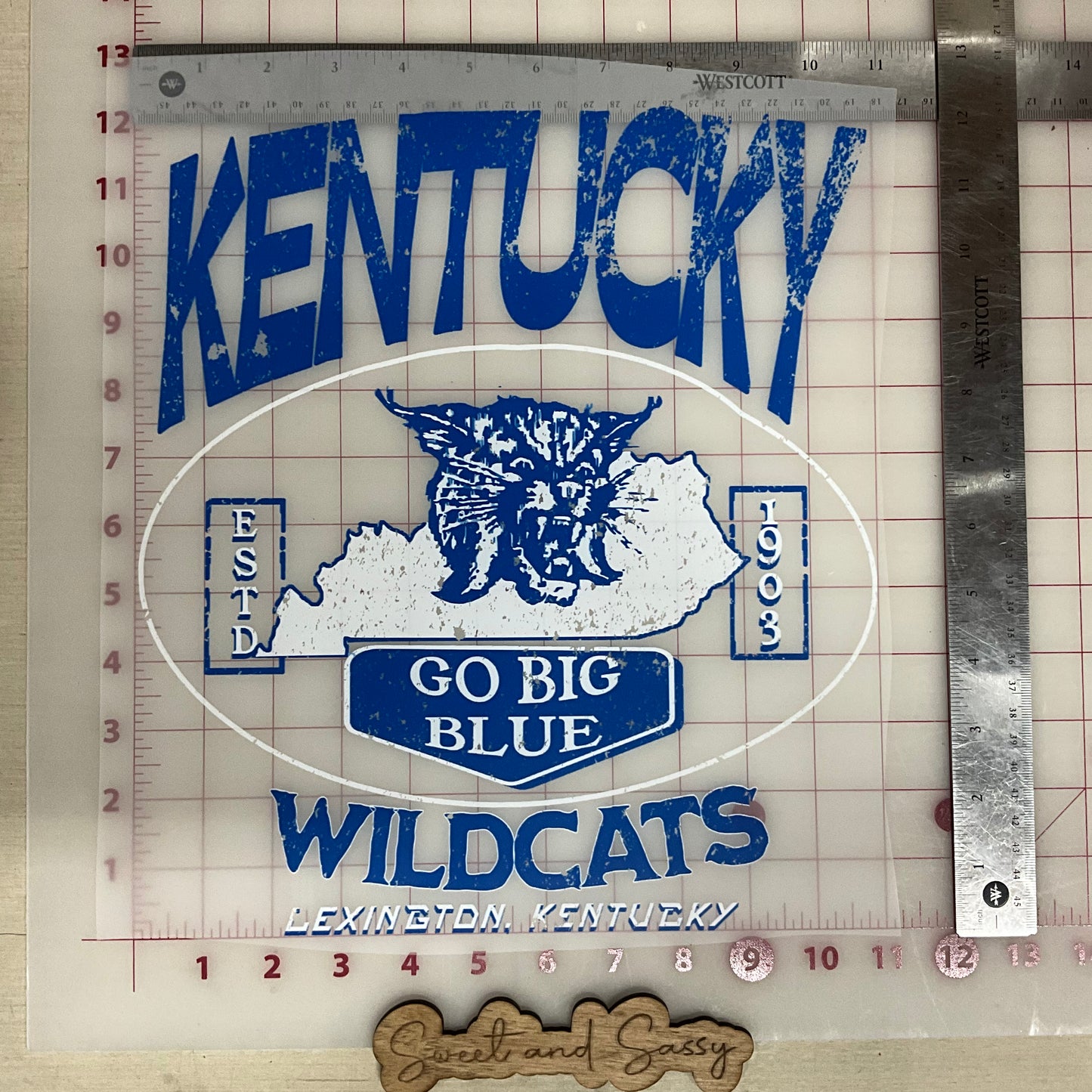 Kentucky wildcats go big blue DTF Transfer