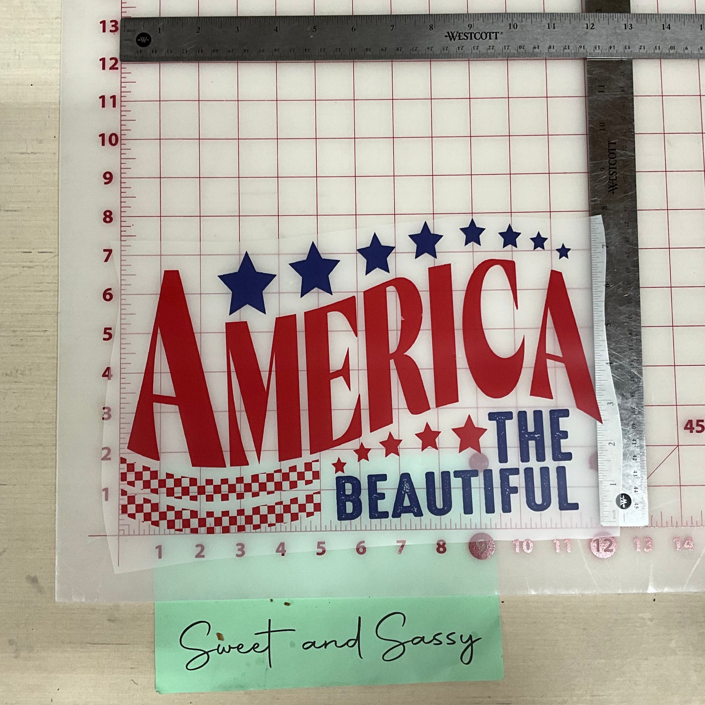 AMERICA THE BEAUTIFUL DTF Transfer Design