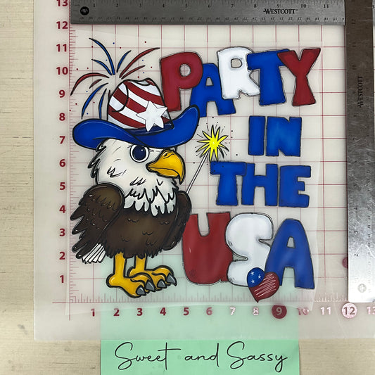 PARTY IN THE USA DTF Transfer Design