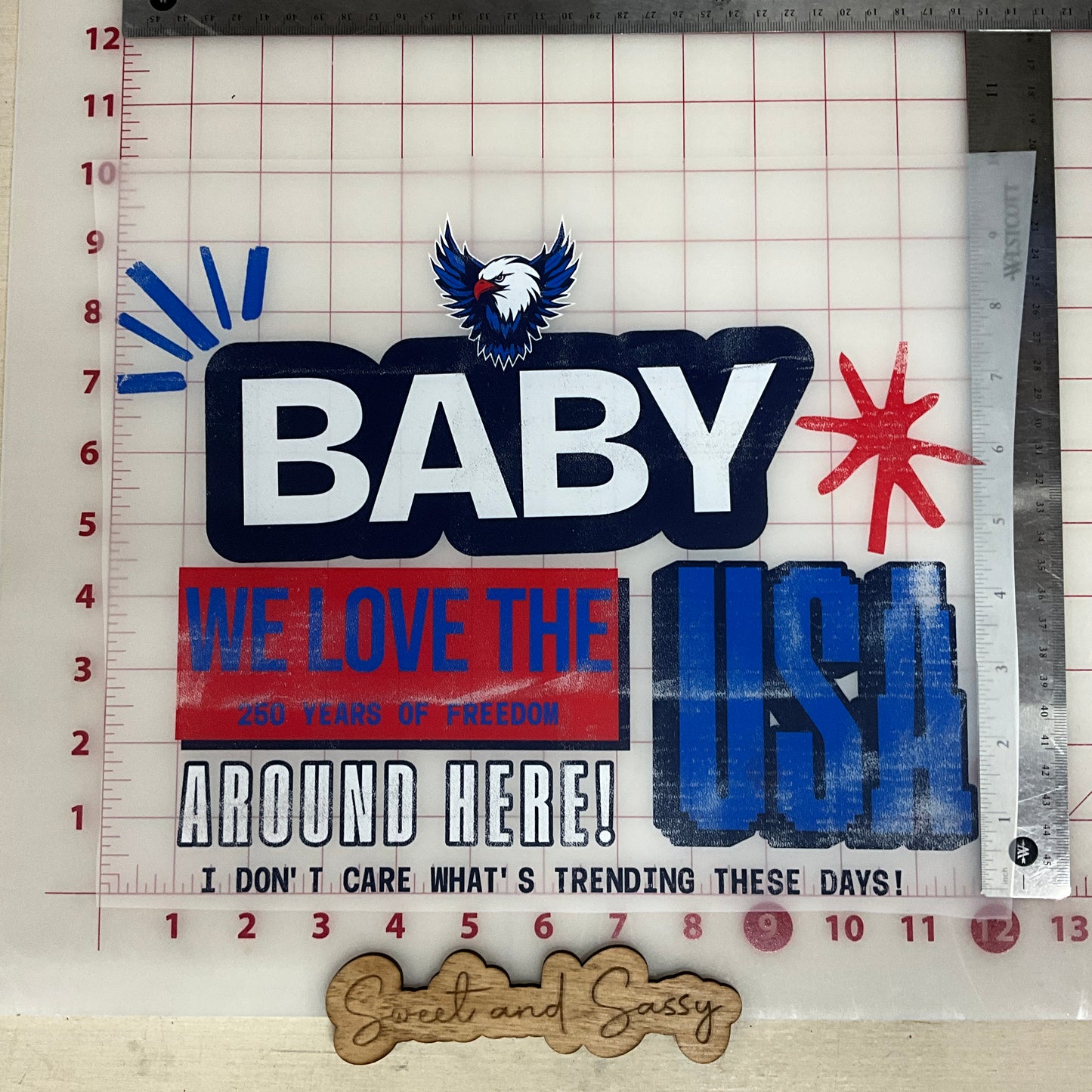 Baby We Love the USA Around Here distressed DTF Transfer Design