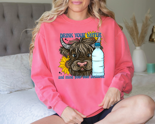 Drink your water and mind your own business DTF Transfer Design