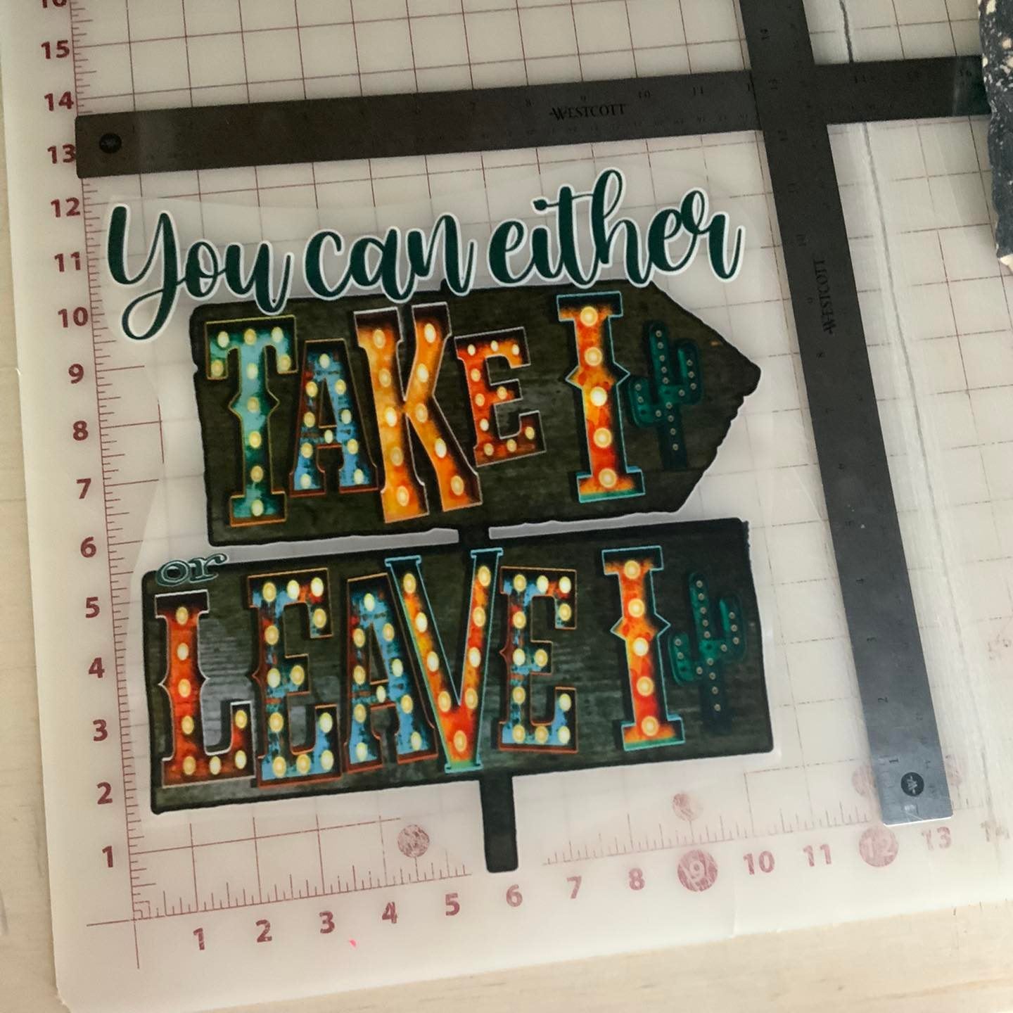 You Can Either Take it or Leave it DTF Transfer Design