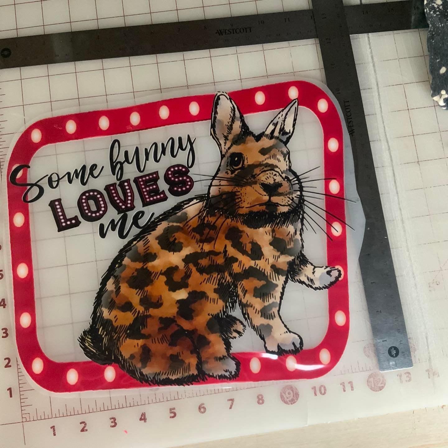 Some Bunny Loves Me DTF Transfer Design