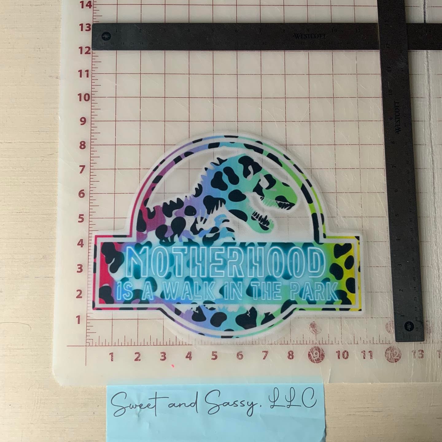 Motherhood is a walk in the Park DTF Transfer Design