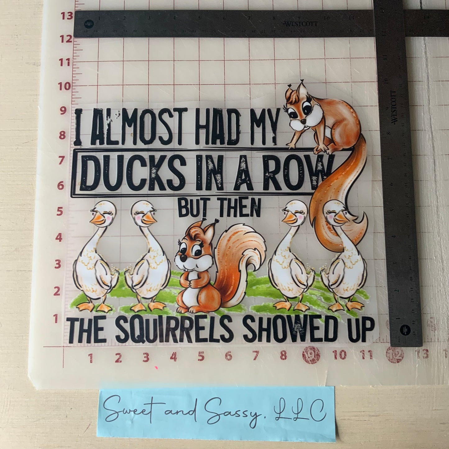 I almost had my ducks in a row, but then the Squirrels showed up DTF Transfer Design