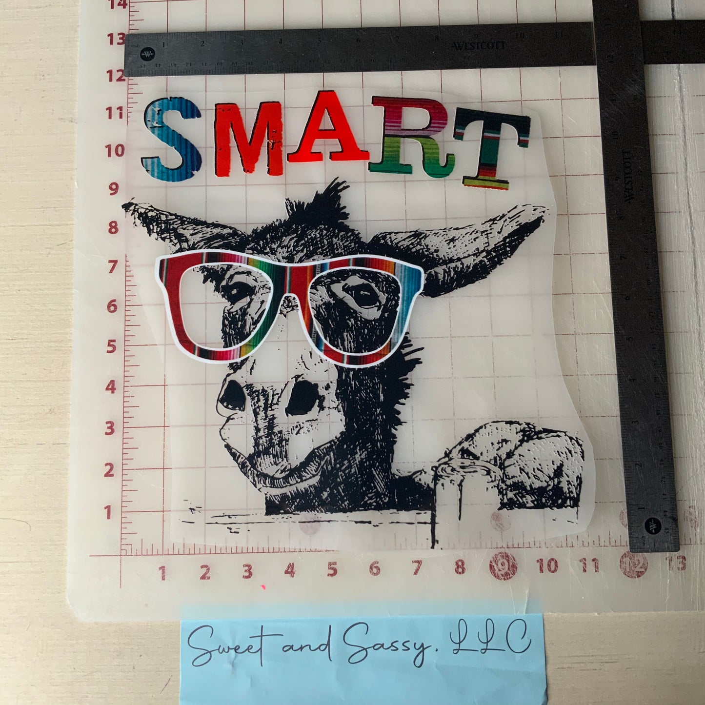 SMART JACKASS DTF Transfer Design