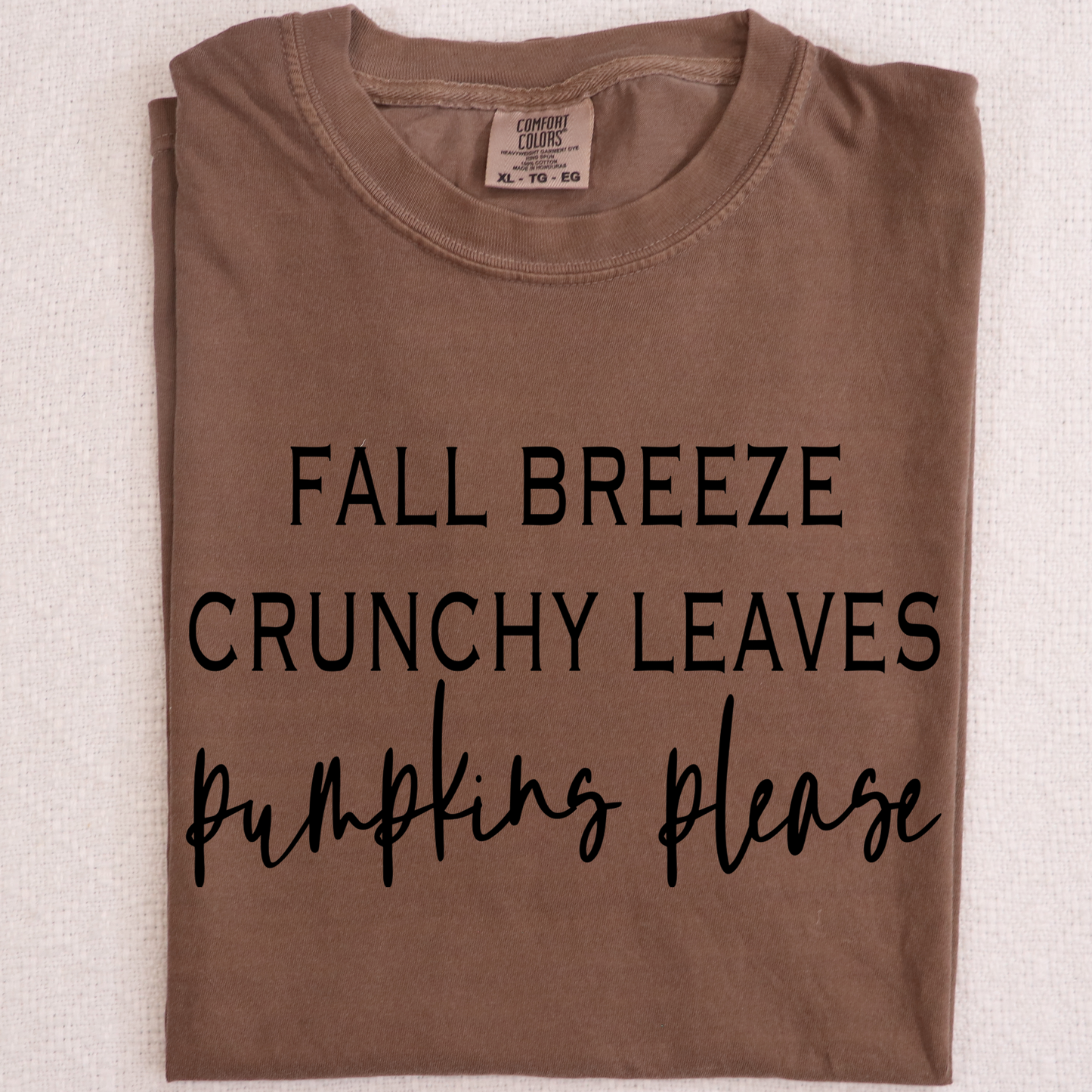 Fall breeze crunchy leaves pumpkins please DTF Transfer Design