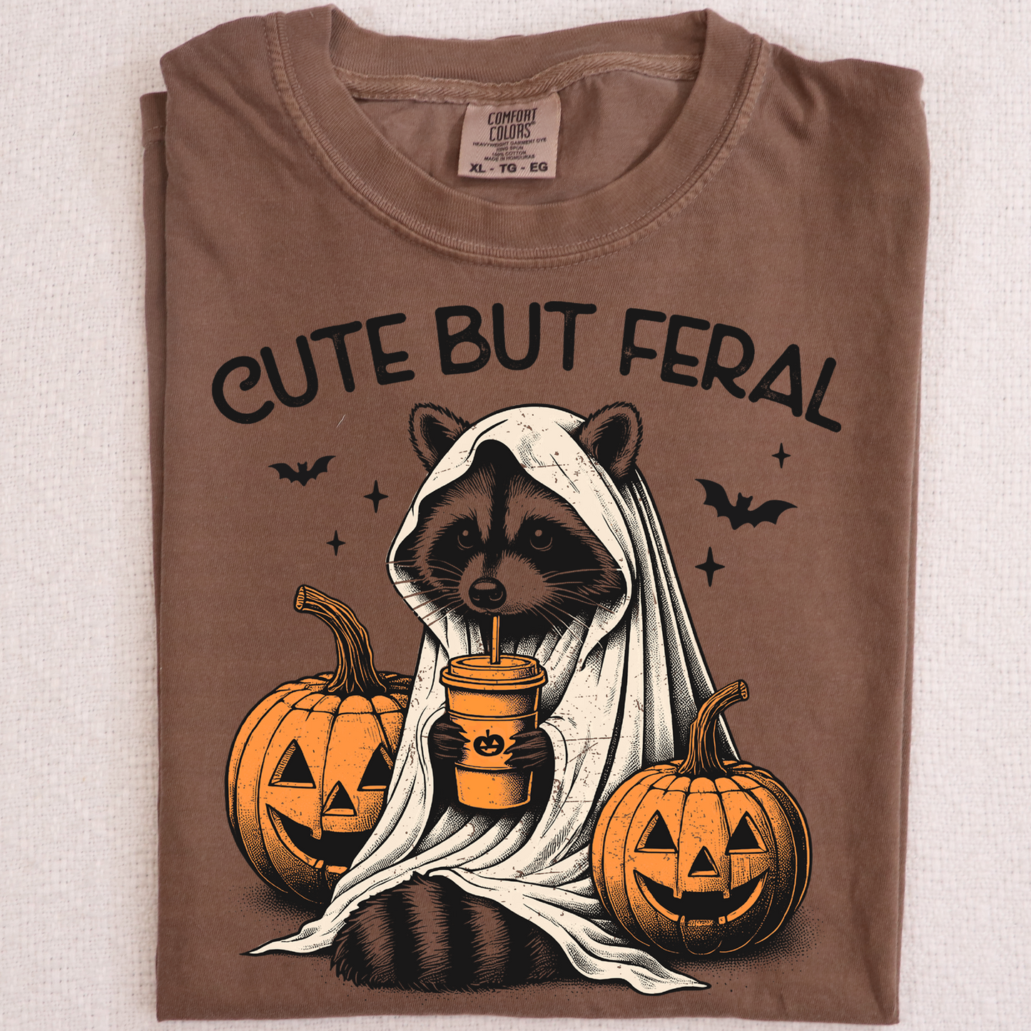 Cute but feral raccoon DTF Transfer Design