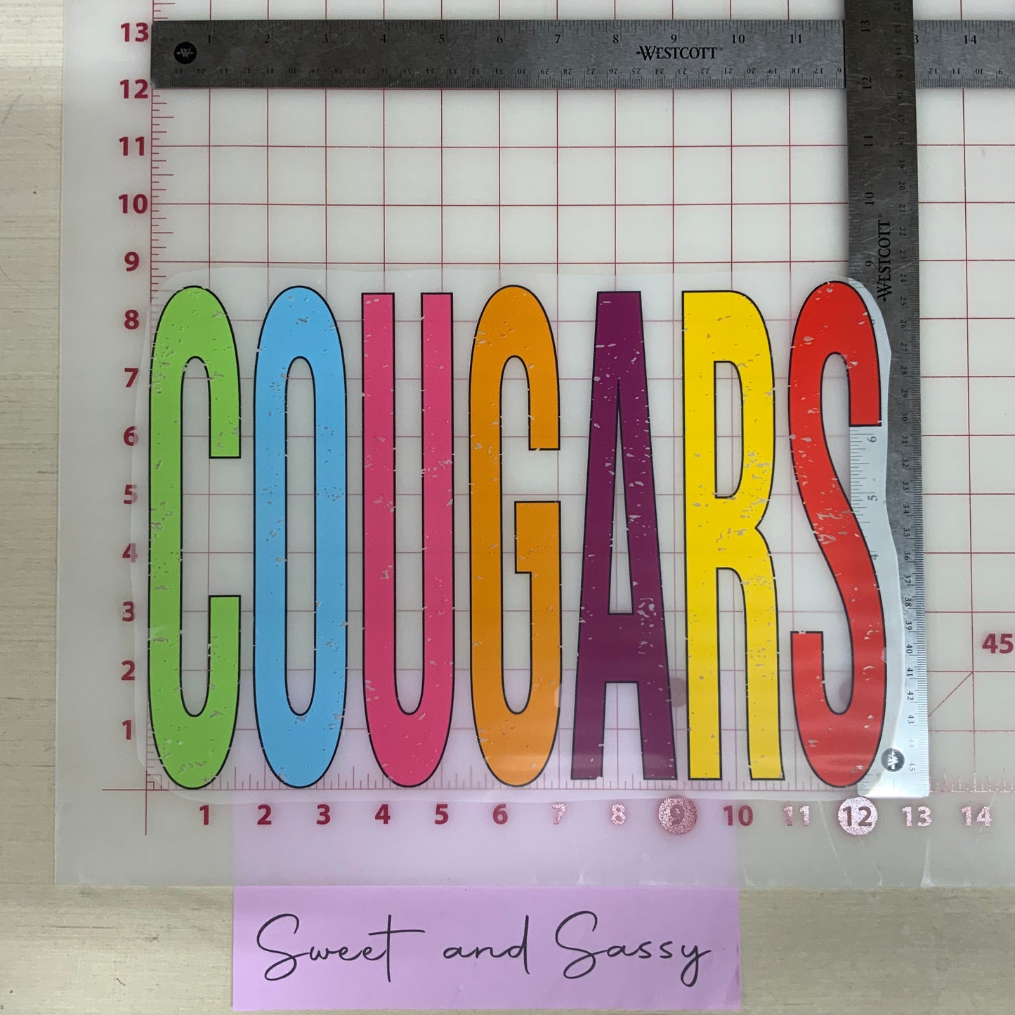 Cougars colorful DTF Transfer