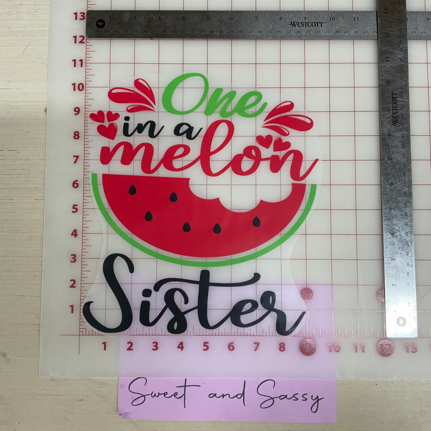 One in a Melon Sister DTF Transfer Design