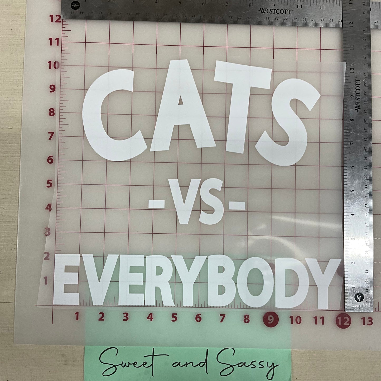 CATS VS EVERYBODY DTF Transfer