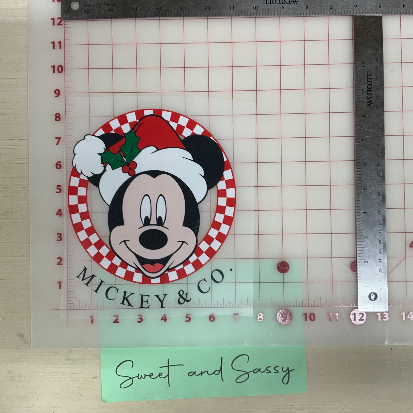 Mickey & Co DTF Transfer Design