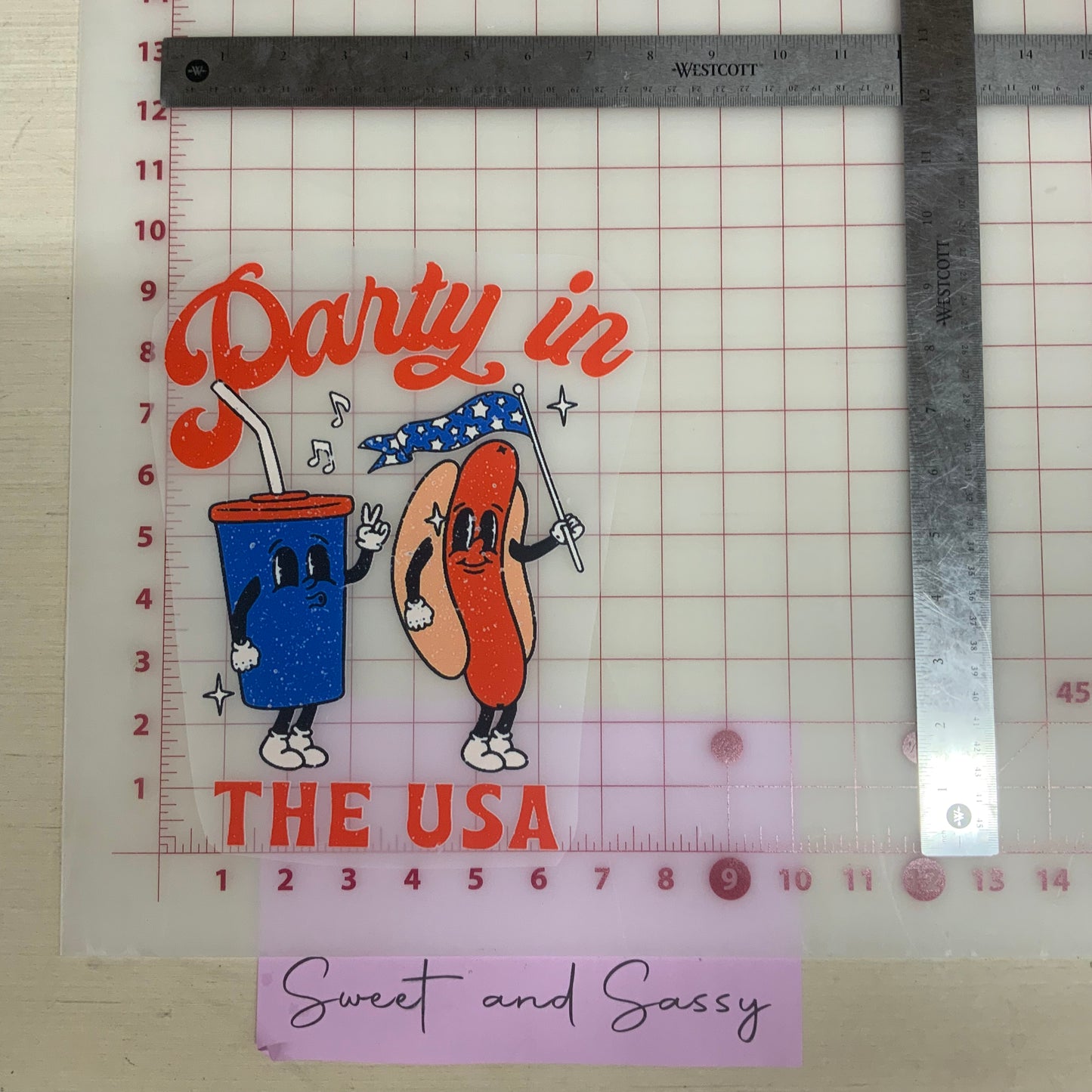 Party in the USA hotdog DTF Transfer Design