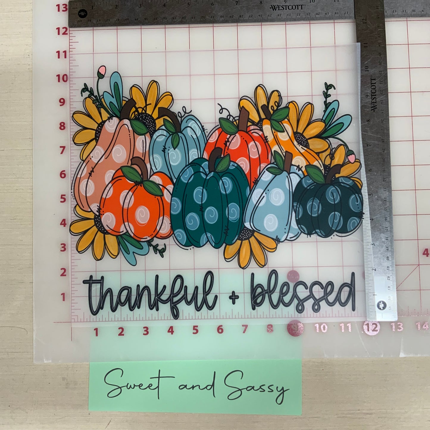 Thankful + Blessed polka dot pumpkins DTF Transfer Design