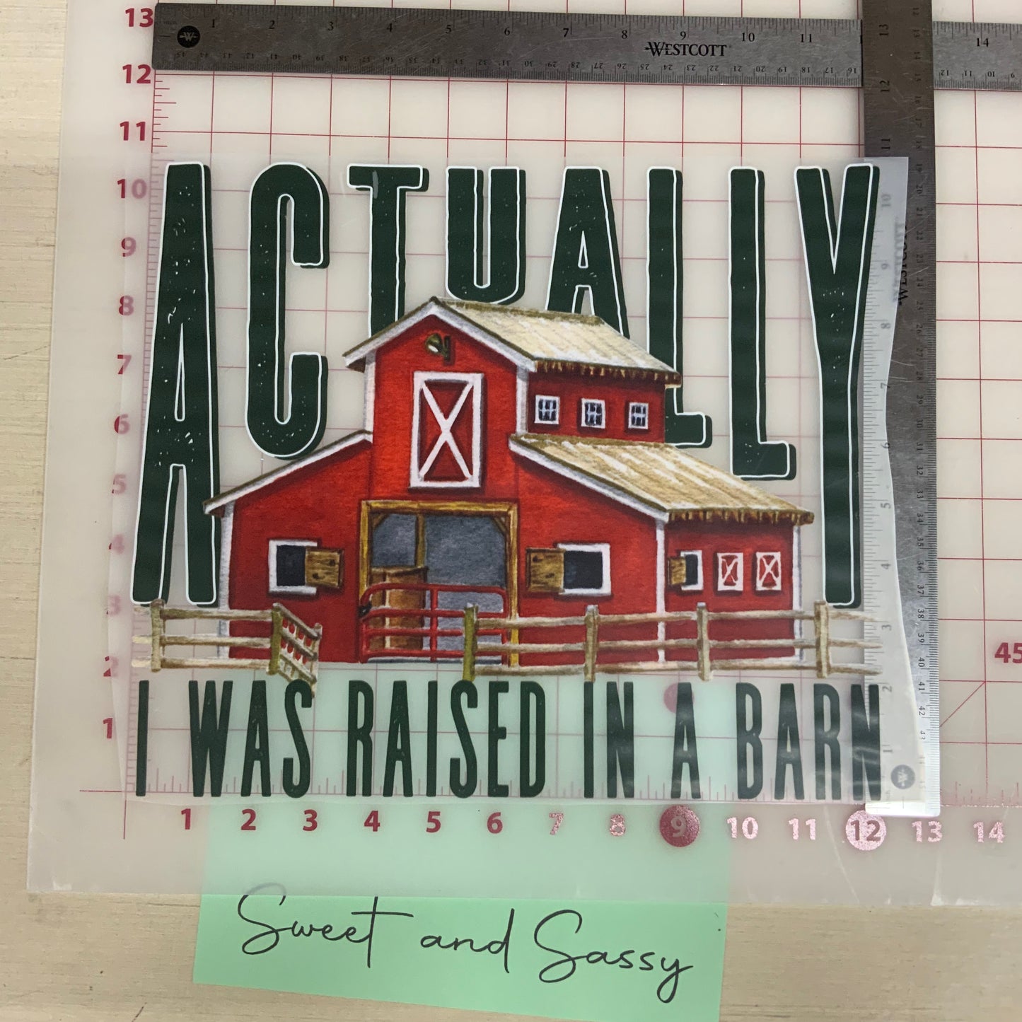 Actually I was raised in a barn DTF Transfer Design