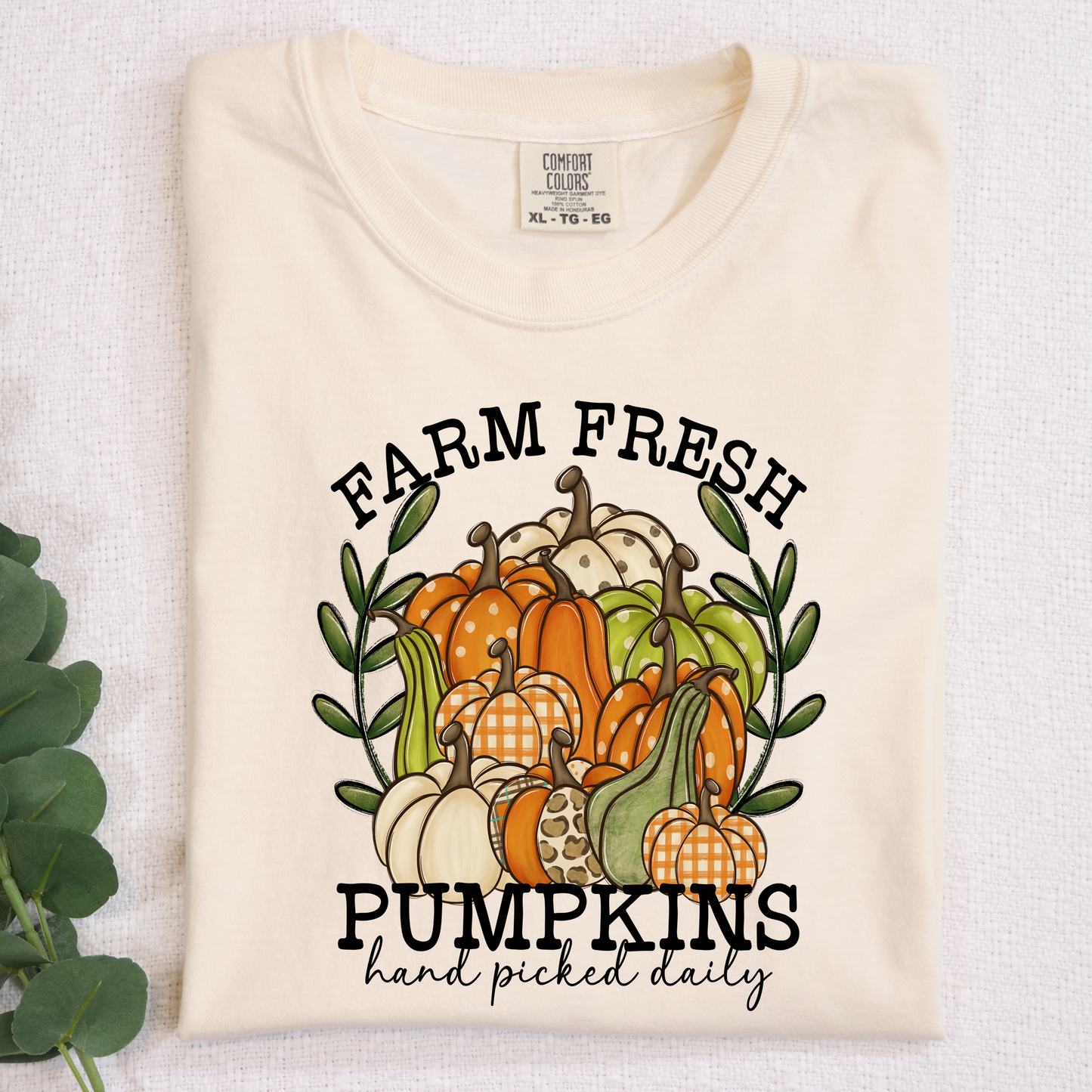 Farm Fresh Pumpkins Hand Picked daily with Gourds DTF Transfer Design