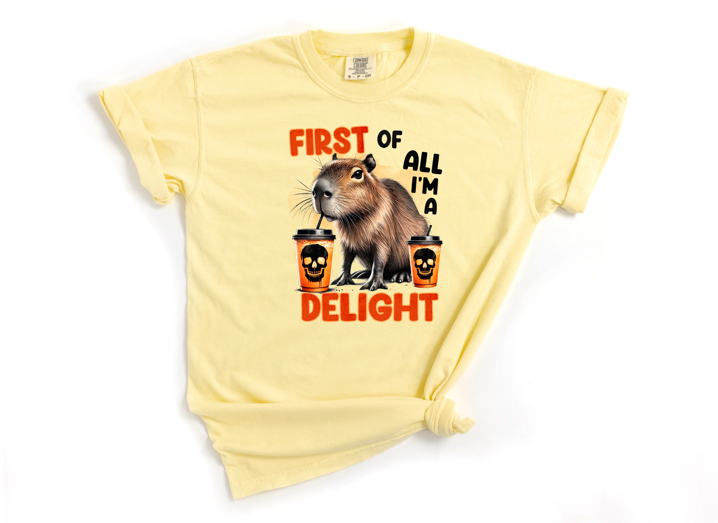 First of All I'm a Delight DTF Transfer Design