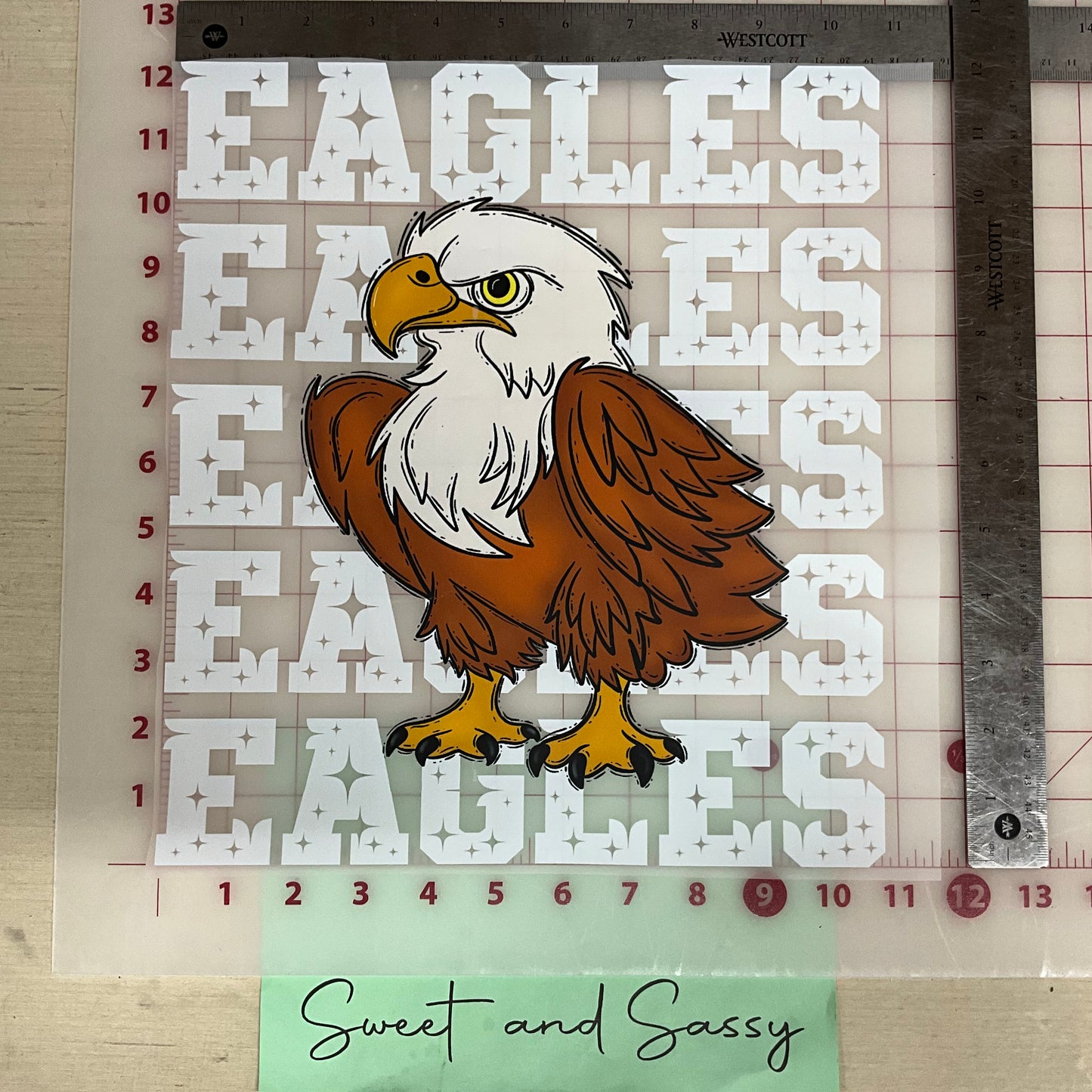 Eagles Team Stars  DTF Transfer Design
