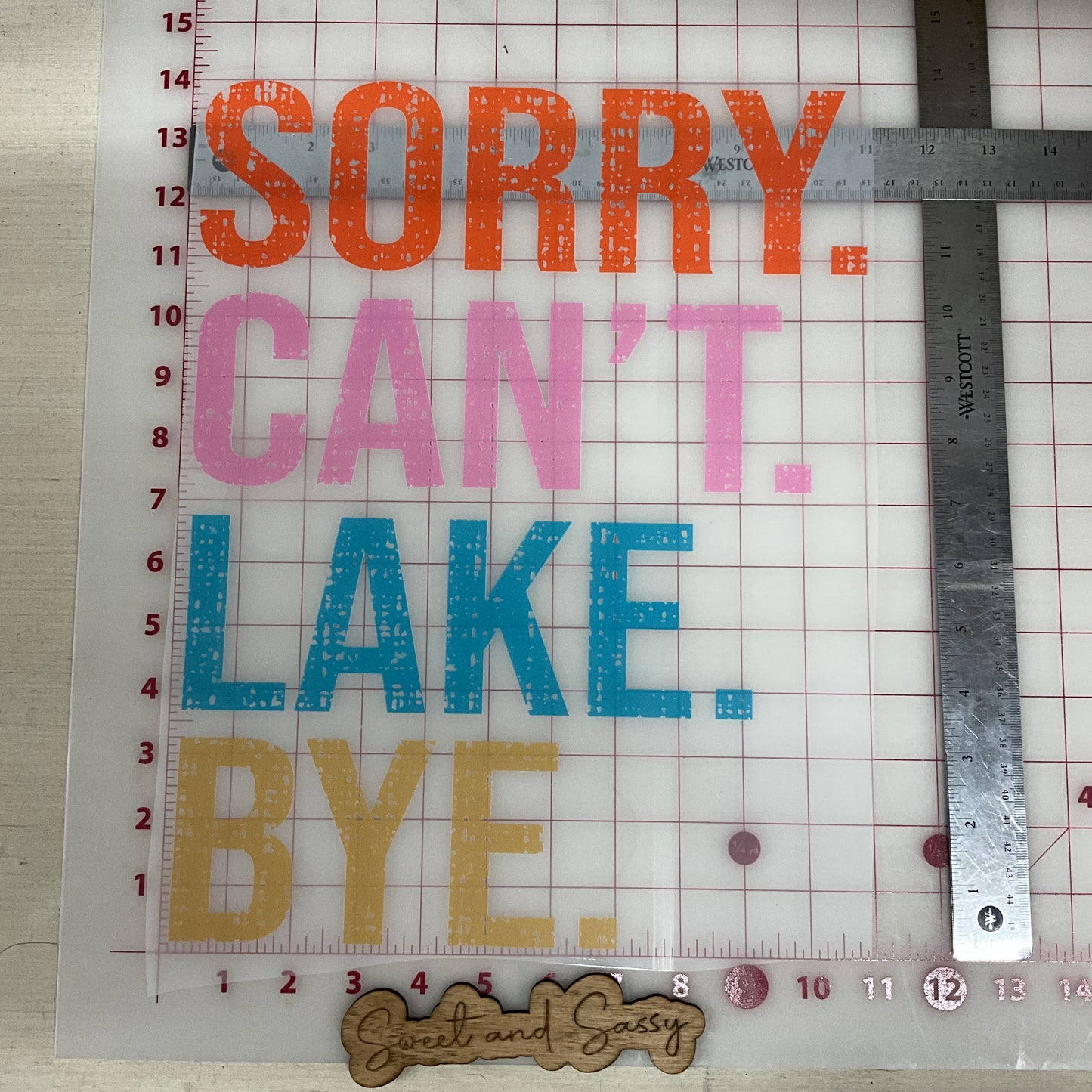 sorry cant lake bye  DTF Transfer Design