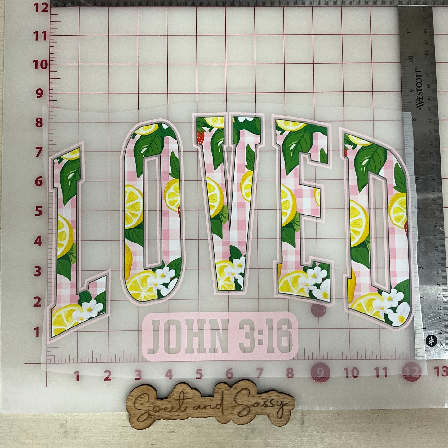 Loved John 3 16 lemons DTF Transfer Design