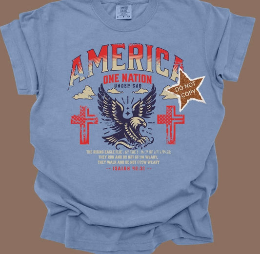 Isaiah 4_31 America One Nation  DTF Transfer Design