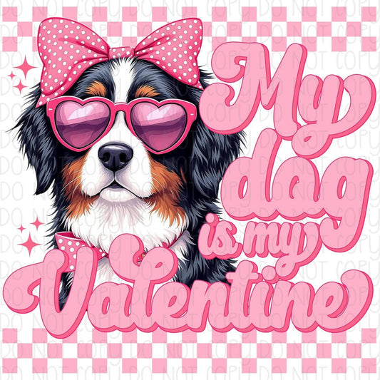 My Dog is my Valentine Bernedoodle DTF Transfer Design CF