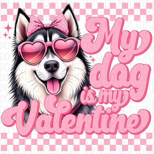 My Dog is my Valentine Husky DTF Transfer Design CF