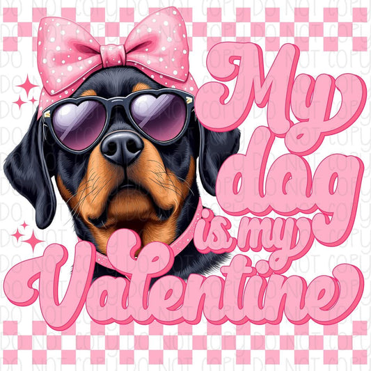 My Dog is my Valentine Rottweiler DTF Transfer Design CF