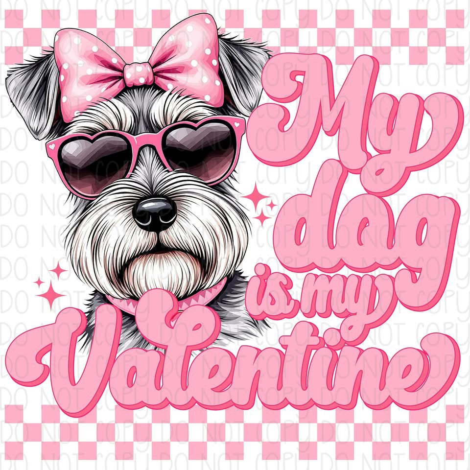 My Dog is my Valentine Schnauzer DTF Transfer Design CF